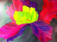 /album/fotogalerij/iris-groot-jpg/